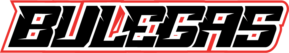 Bulegas logo